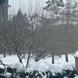 Meet your Posher, Kinda